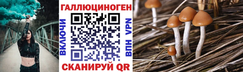 продажа наркотиков  Старый Оскол  Псилоцибиновые грибы мицелий 