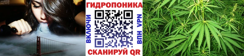 купить  цена  Старый Оскол  кракен как зайти  Бошки марихуана THC 21% 